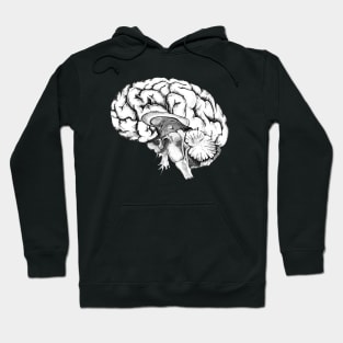 Brain human anatomy Hoodie